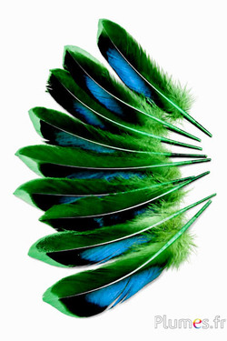 Anatra - 8-10 cm - verde